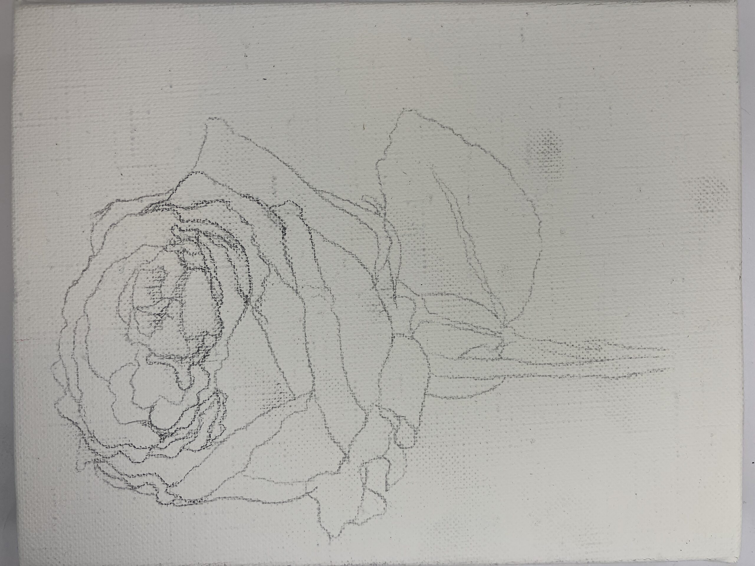 油絵　頭に花をのせたラマ 7175YHn3S5L._UF1000,1000_QL80_.jpg